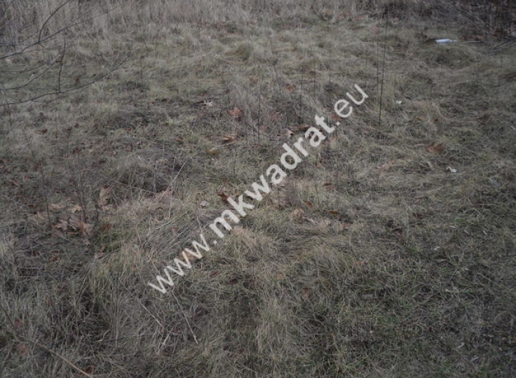 Ciekawa działka Pęcice