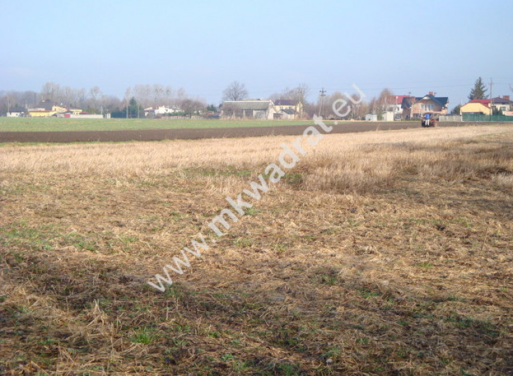 Działka Chlebnia Chlebnia