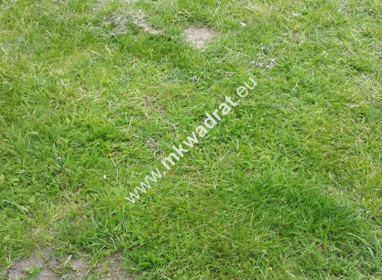 Fajne miejsce, ciekawa duża działka ! Podsokołów