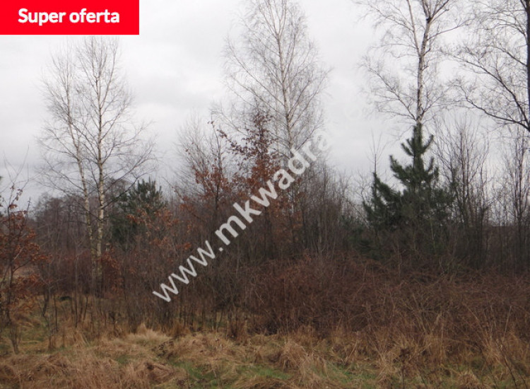 Oferta dla inwestorów duża powierzchnia Grodzisk Mazowiecki