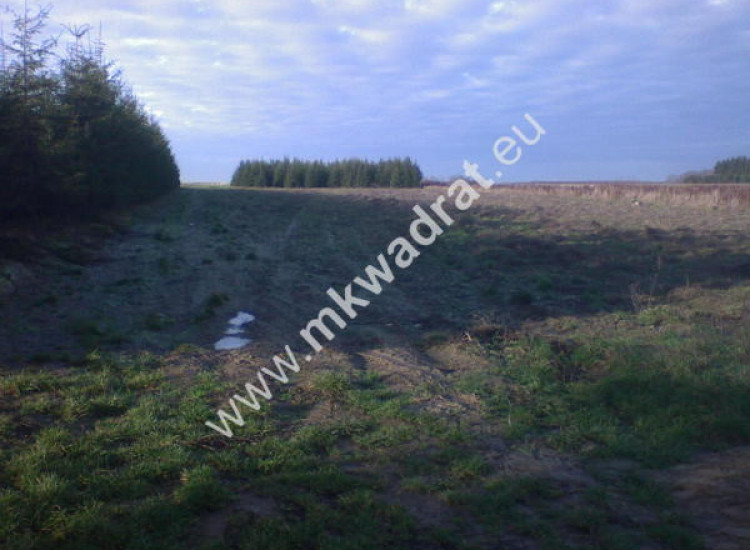 Ciekawa oferta warta uwagi! Biała Rawska