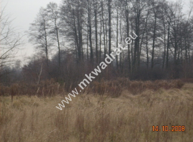 Działka Korabiewice Korabiewice