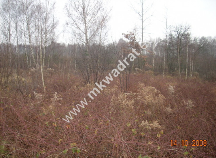Działka Korabiewice Korabiewice