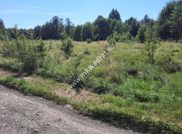 Oferta dla developera w sąsiedztwie Magdalenki. Słomin
