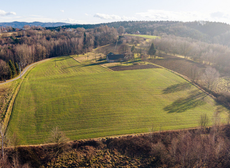 Działka leśna L4 34,40 ar Tuchów Tuchów