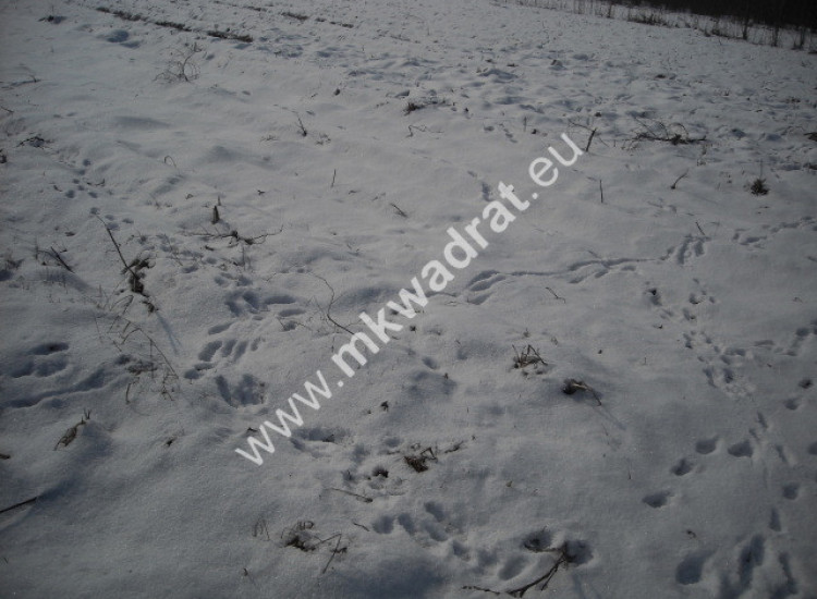 Działka Płochocin Płochocin
