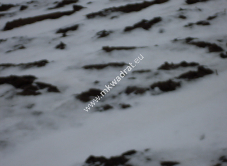 Działka 6450 m2 z domem i halą. Ołtarzew