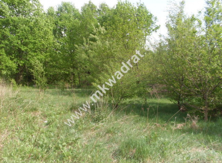 Milanówek 1737m2 północna część miasta Milanówek
