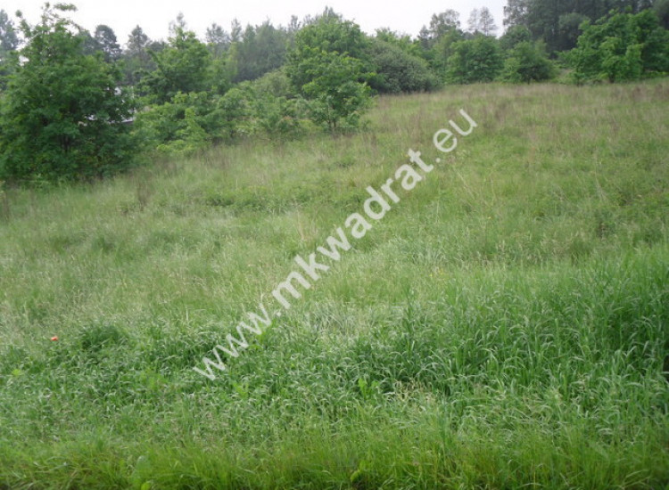 Działka Nowy wilków Nowy Wilków