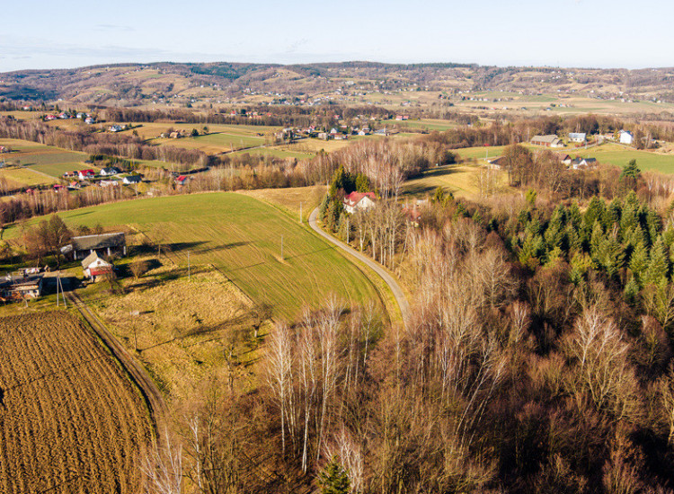 Działka leśna  30,25 ar Tuchów Tuchów