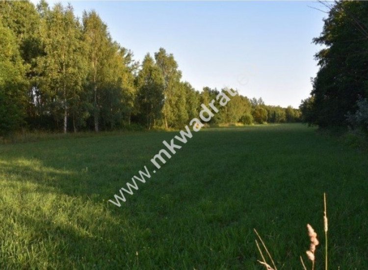 Bardzo interesująca oferta Żabia Wola Żabia Wola