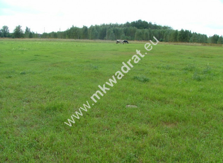 CIEKAWA  OFERTA  DLA  DEVELOPERA ! Radziejowice