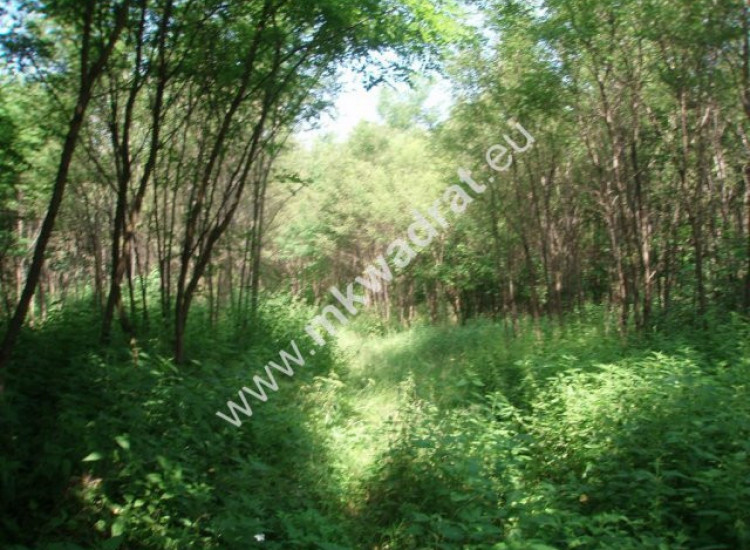 Działka blisko 2 ha do podziału Badowo-Mściska