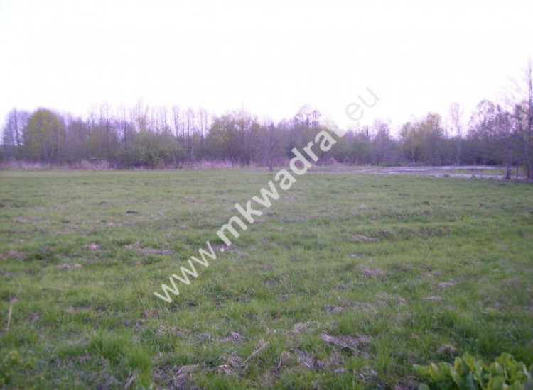 Dobra Inwestycja # zieleń # spokój Grodzisk Mazowiecki