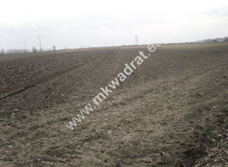 Atrakcyjna działka w Płochocinie. Płochocin