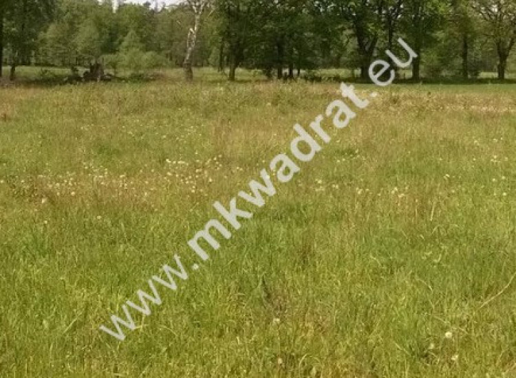 Działka budowlana 4740 m² Boża Wola Bronisławów