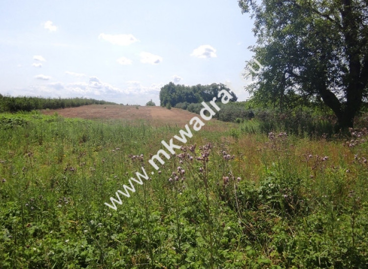Działka w cichej okolicy  Wola Pękoszewska Wycinka Wolska
