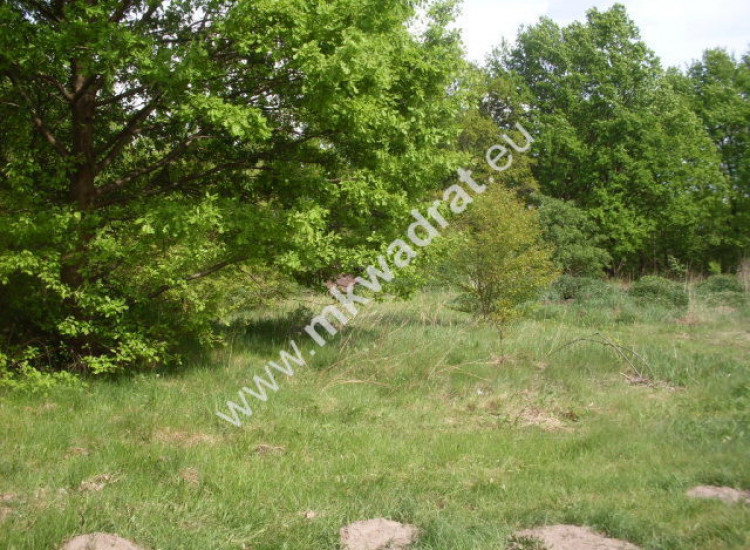 Milanówek 1322 m2 niedaleko szkoły od mkwadrat.eu Milanówek