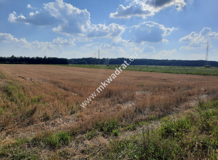 Działka inwestycyjna koło Janek Sokołów