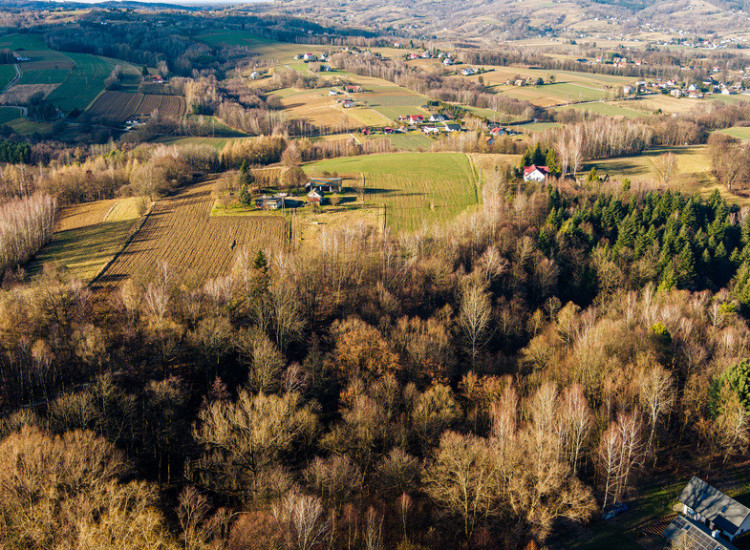 Działka budowlana 8.13 ar Tuchów Tuchów