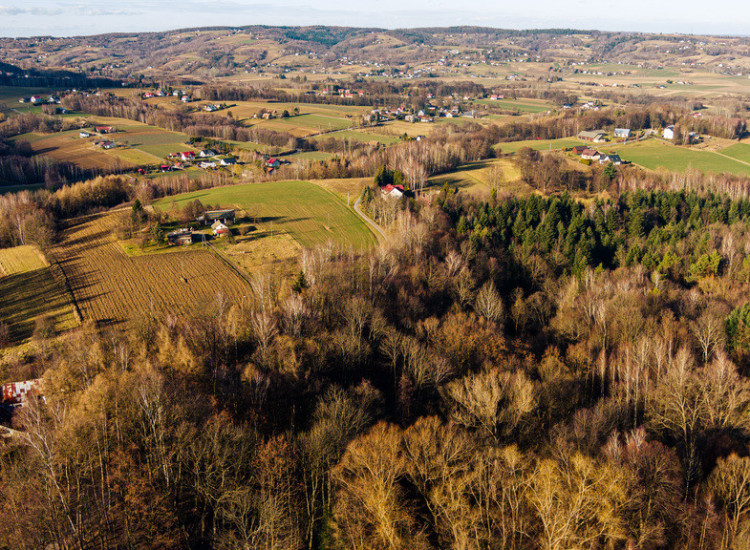 Działka leśna 78,13 ar Tuchów Tuchów