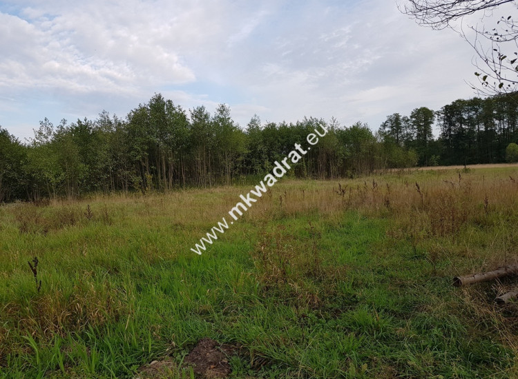 Zadrzewiona 29x52 z MpZP 30%bud Woda Prąd Super! Nowe Budy