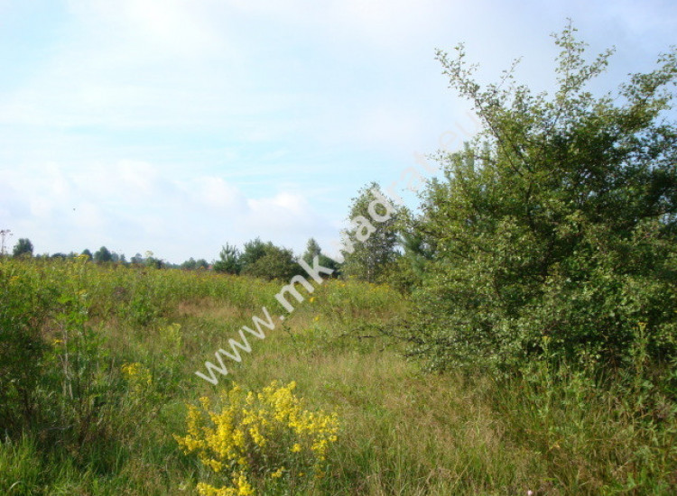 Działki budowlane z planem zagospodarowania Czosnów