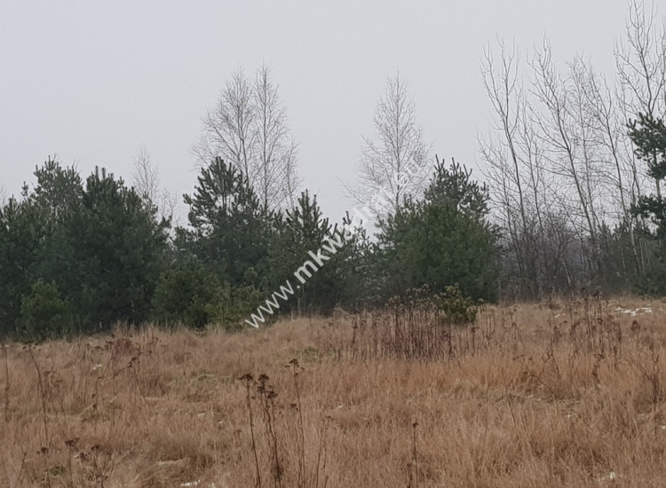 działki budowlane z planem zagospodarowania Czosnów