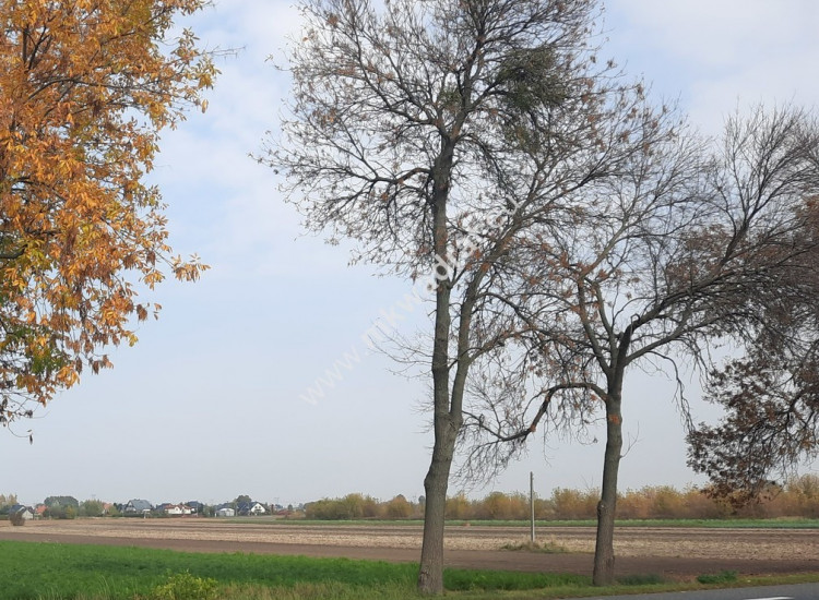 Działka przemysłowa w dobrej lokalizacji Płochocin