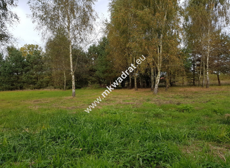 Działka 1000m z MPZP Radziejowice-Parcel