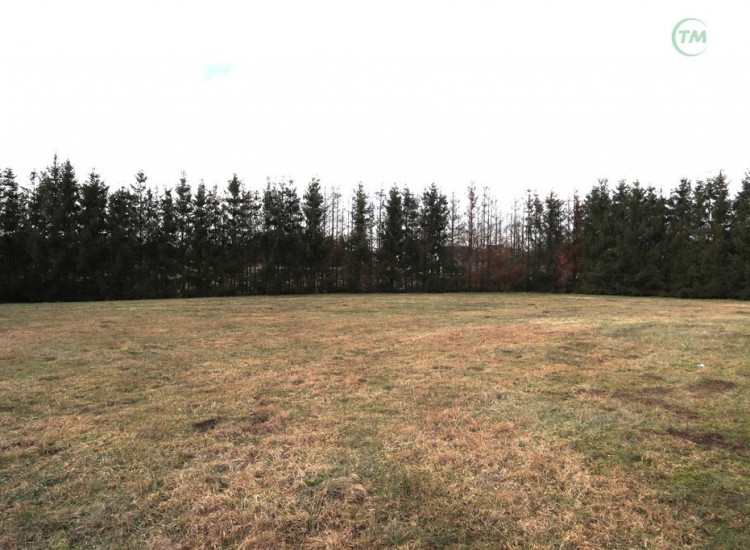 Brojce 2 domy, działka ponad 7000 m2. Hossoland! Brojce