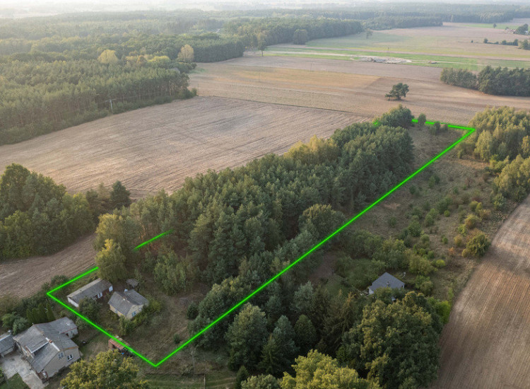 Działka z lasem i WZ, Sprzedaż 1,11 ha, Trzcianka Trzcianka