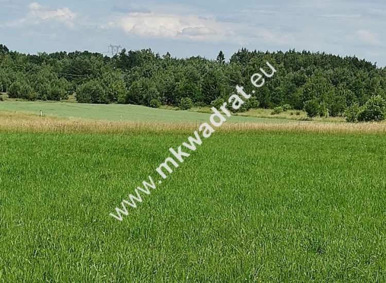 Wyjątkowa Działka rolna do podziału na budowlane! Mokas