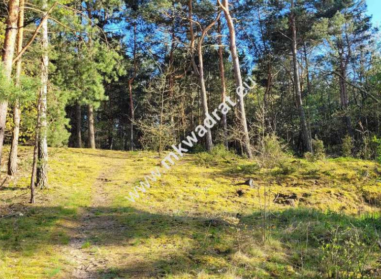 Działka 1000m2 Kazuń-Bielany z MPZP Kazuń-Bielany