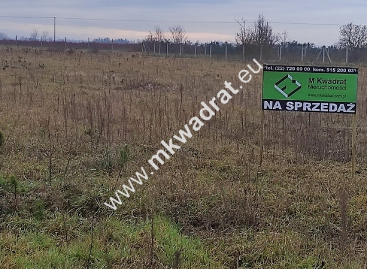 Podział 4 działek 8264m² Tłumy gm Kowiesy MPZP 3MN Tłumy