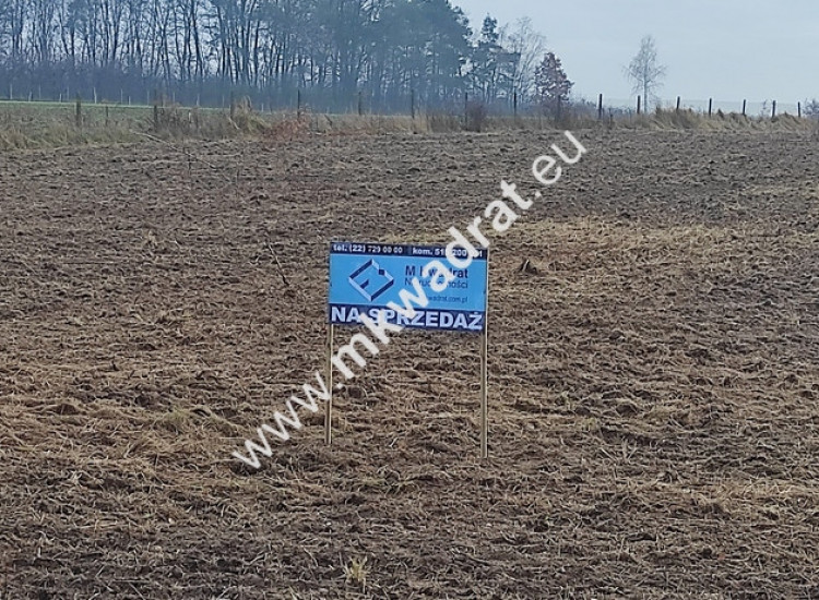 Działka z Warunkami Zabudowy 21800m² Media Okazja! Wola Pękoszewska