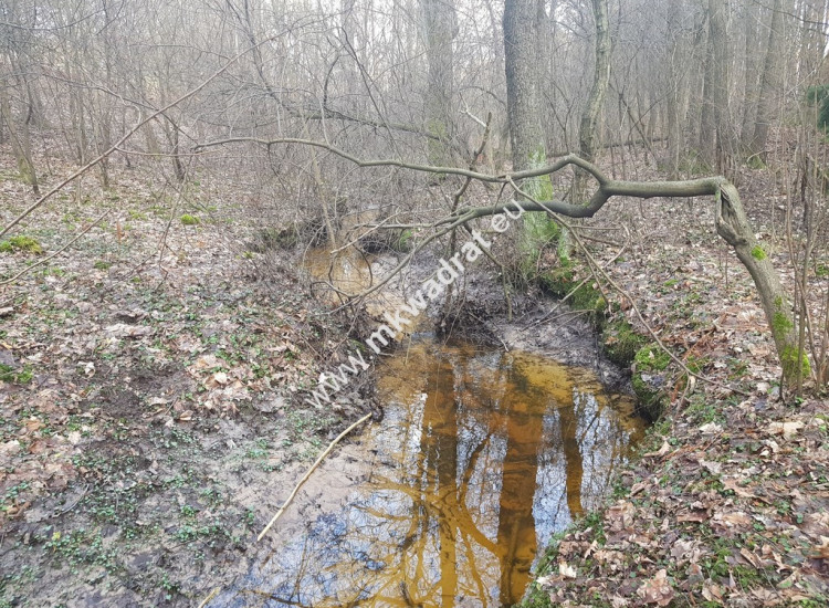 2500 m2 -urocza działka przy lesie z MPZP Bieniewiec