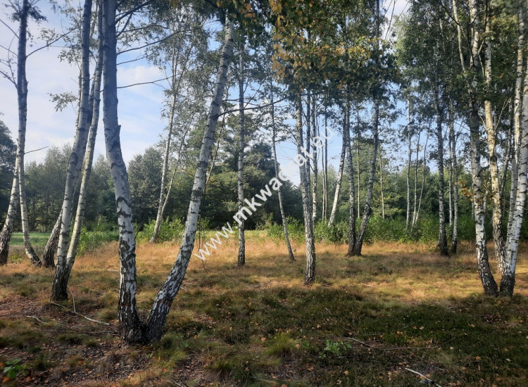 Śliczna działka Bieganów 1700 m2 z MPZP! Bieganów