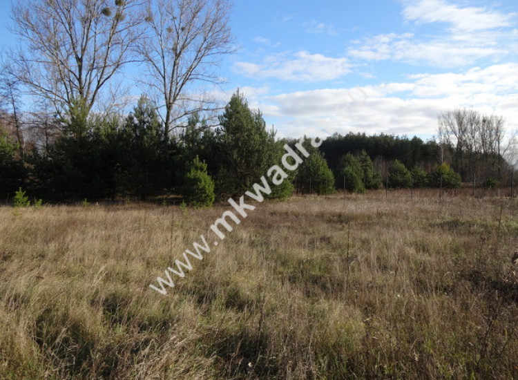 Strzeniówka działka 2500m2 Strzeniówka
