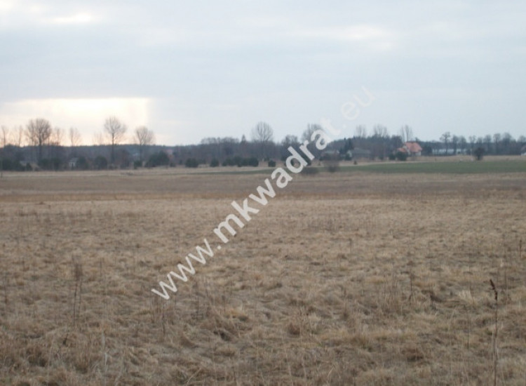 Działka siedliskowa Ojrzanów Ojrzanów