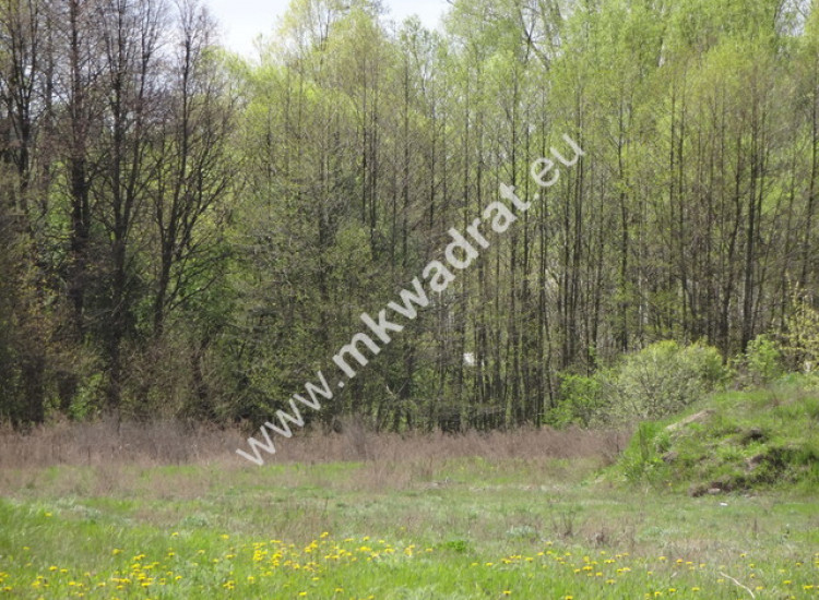 Kuklówka 3200m2 budowlana Kuklówka Radziejowicka