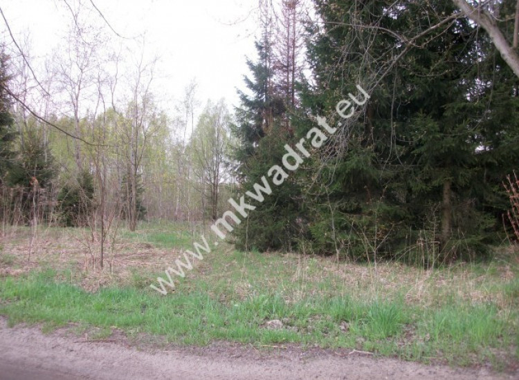 Działka budowlana 4700 m2 Grzmiąca Grzmiąca