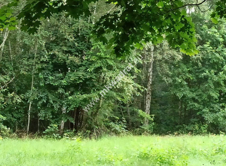 Działka Granica Blisko WKD Nowa Wieś Granica