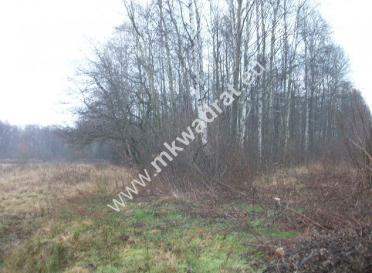 Działka leśna 8660 m² Piotrkowice Piotrkowice