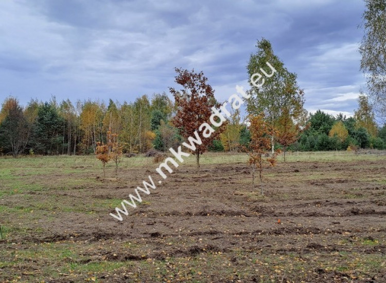 Zboiska gm. Radziejowice | MPZP | 1300m2 | S8 Zboiska