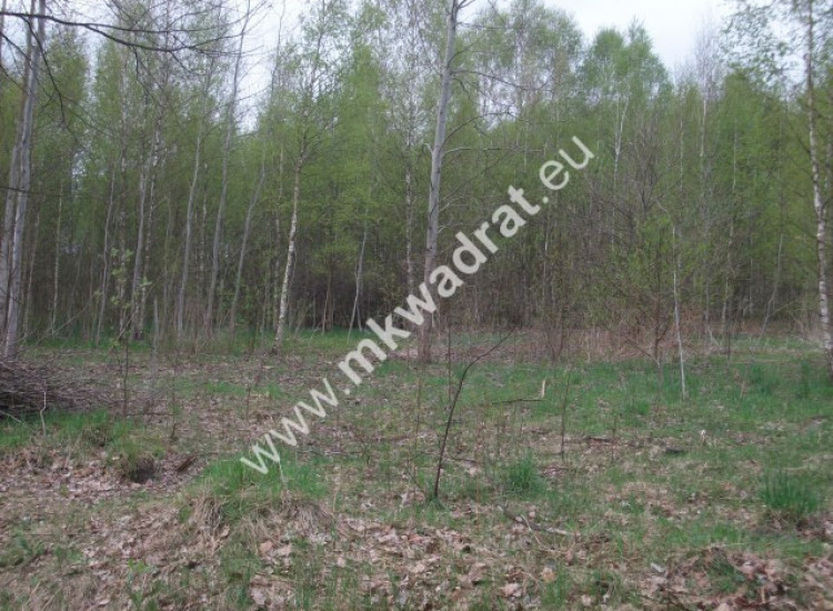 Działka budowlana 27 000 m² Bukówka Nowa Bukówka