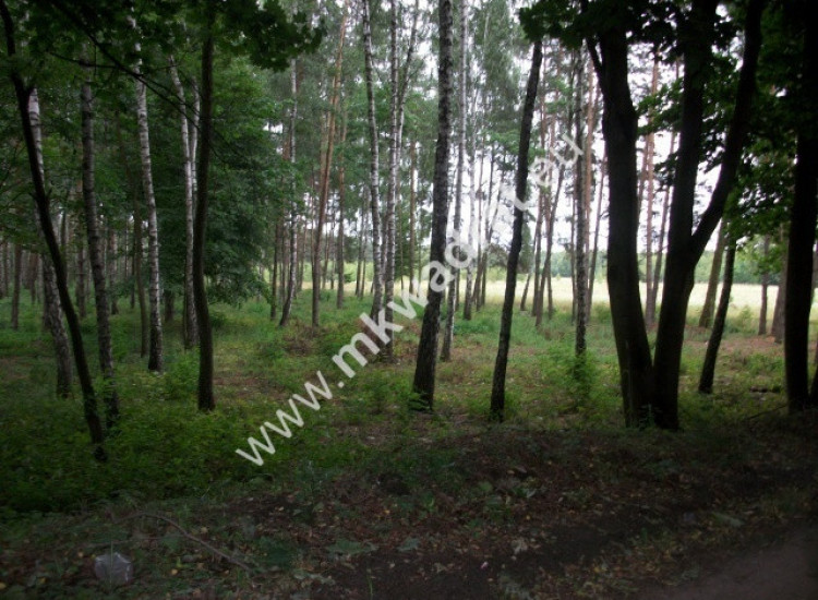Działka rolna 13 600 m² Żabia Wola Grzegorzewice