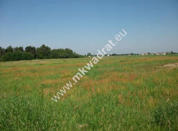 Działka rolna Konstantów Konstantów