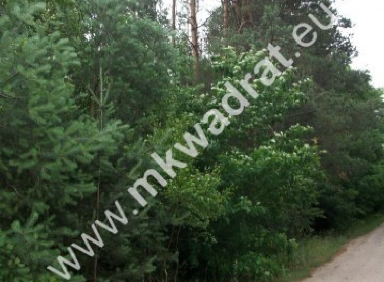 Urokliwa działka siedliskowa 27.500m2 Grzegorzewice