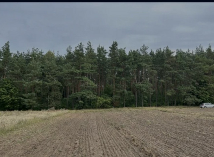 Działki po 1000m2 z Warunkami Zabudowy Rychnowy Rychnowy
